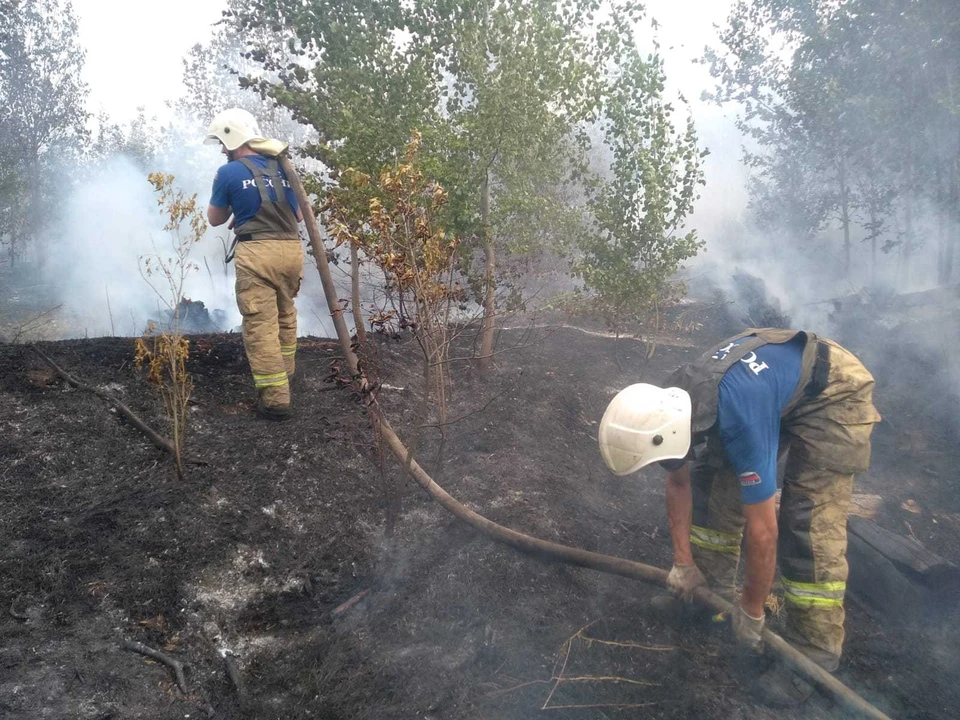В Тольятти продолжают тушить лес. Фото: ГУ МЧС РФ по Самарской области
