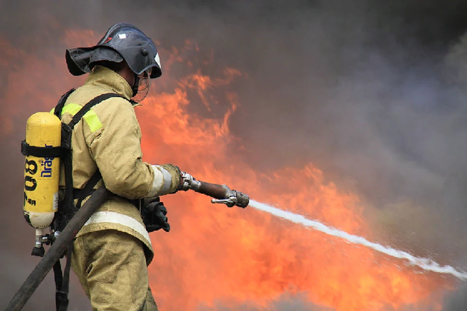 За сутки спасатели потушили 4 пожара в ДНР. Фото: МЧС ДНР