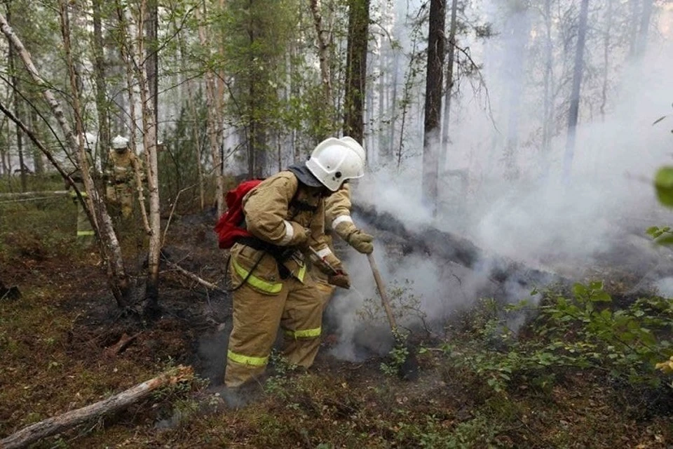 Леса горят в семи районах Хабаровского края