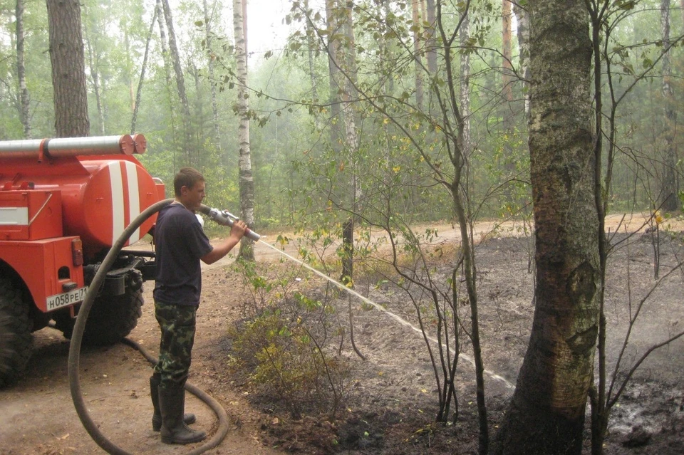 Из-за засухи в 2010 году в Рязанской области от пожаров пострадало 123 тысячи гектаров леса.