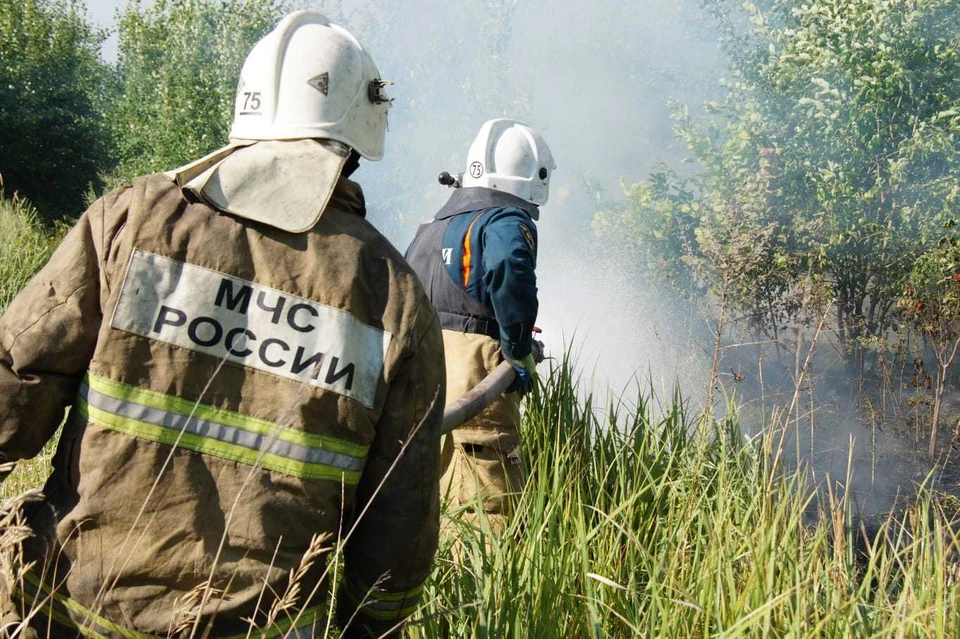 Волонтеры помогают спасателям бороться с огнем