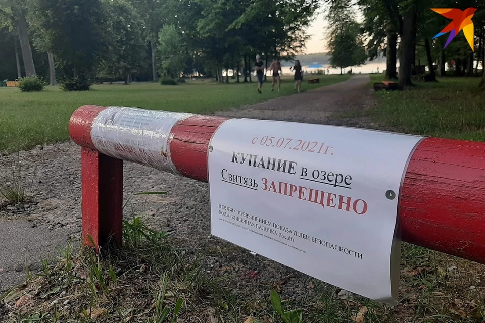 На озере Свитязь в Новогрудском районе ввели запрет на купание с 5 июля.