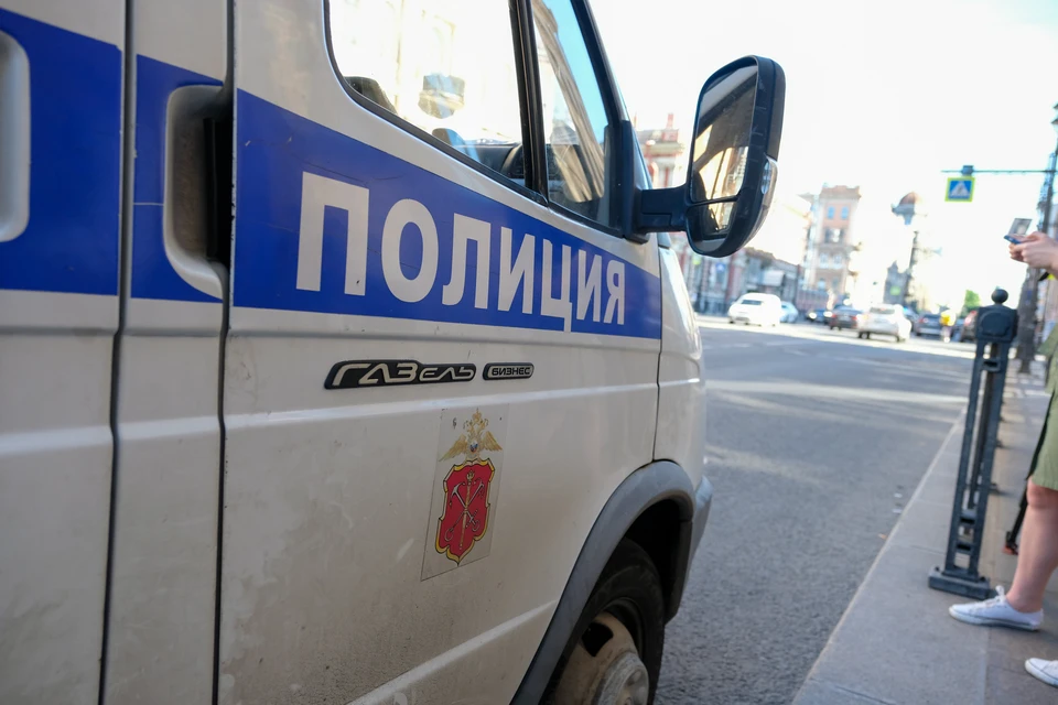 Девушку изнасиловал незнакомец под мостов в Петербурге