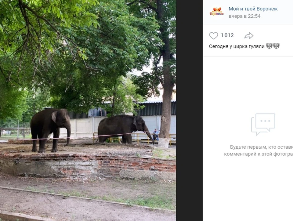 Страница сообщества "Мой и твой Воронеж" в соцсети "Вконтакте"