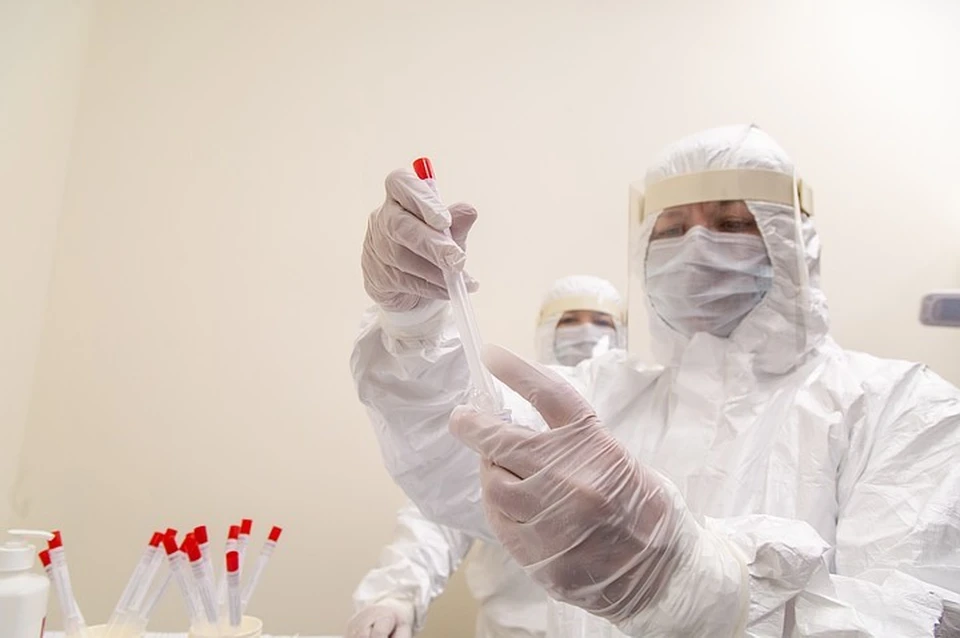 Всего в регионе с начала пандемии коронавирус был обнаружен у 23 413 человек