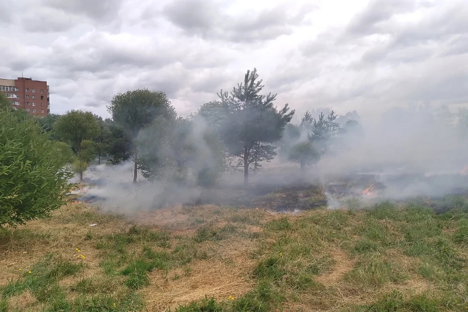 Трава горит в Полежаевском парке. Фото: vk.com/spb_today / Дмитрий Сурков