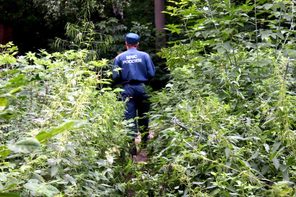 В Томской области накоплен большой опыт по спасению заблудившихся в лесу. Фото: сайт ГУ МЧС России по Томской области