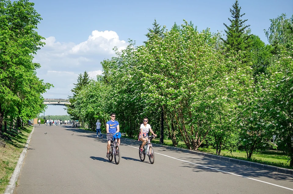 Погода в железногорске от гидрометцентра. Июль в Красноярске.