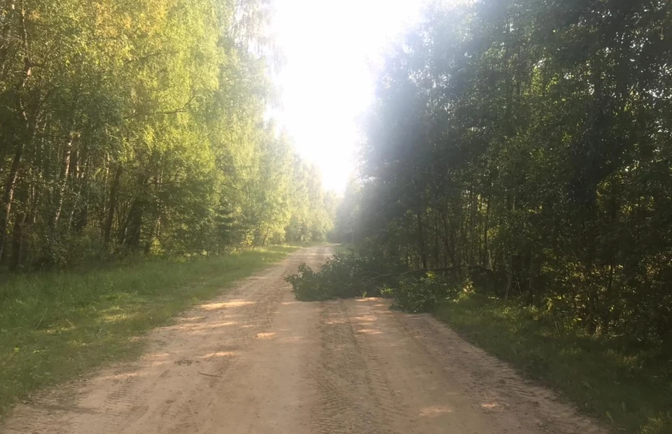 Снимок с места происшествия.