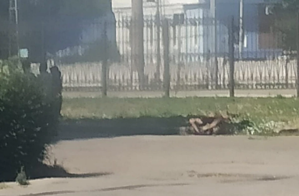 Недалеко от вокзала «Рязань-2» обнаружили труп. Фото: 7новостей.