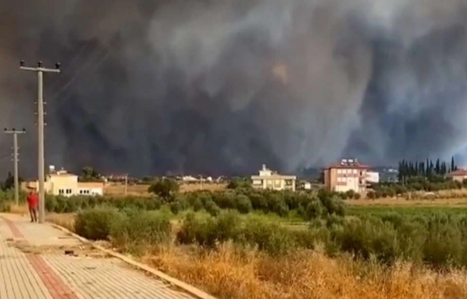 При лесных пожарах в Турции пострадали более 180 человек Фото: кадр из видео