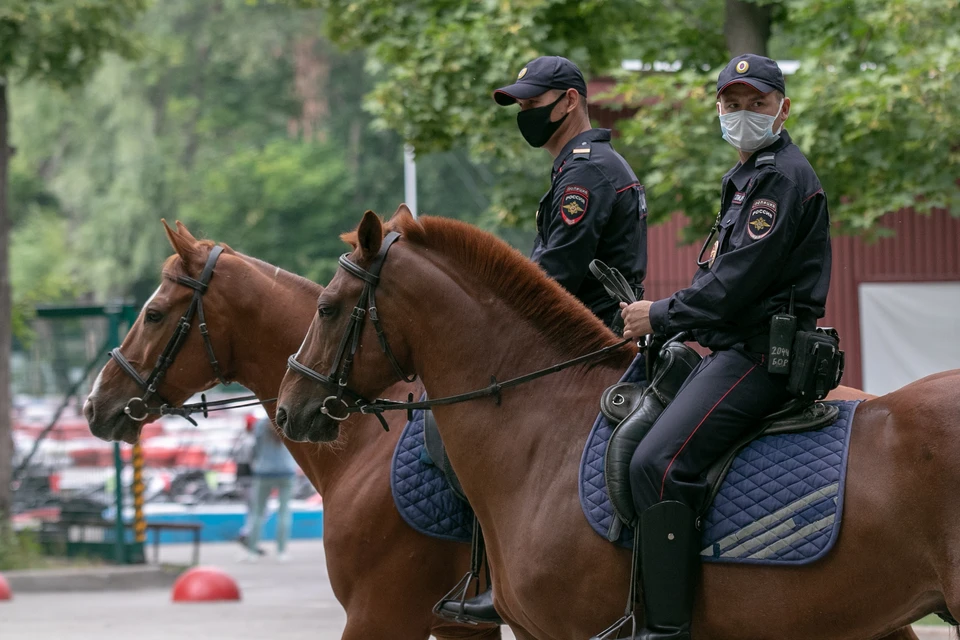 Полицейские верхом на конях - зрелище для Уфы довольно необычное, но очень эффектное