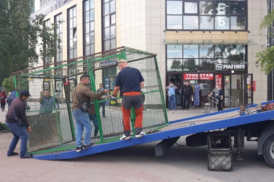В четырех районах Петербурга прошли рейды по выявлению незаконной торговли. Фото: vk.com/kvzpb_official