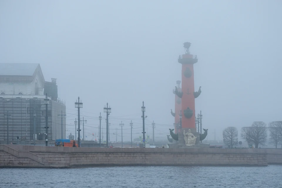 В Петербурге ожидается туман.