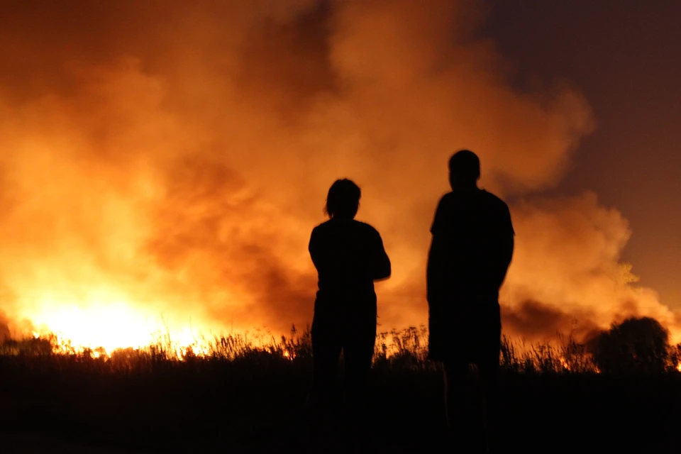 Украинский климатолог предупредила о возможном «аде на Земле» из-за изменения климата