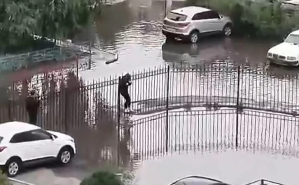Омичка смогла перейти лужу только по забору. Фото: скриншот с видео