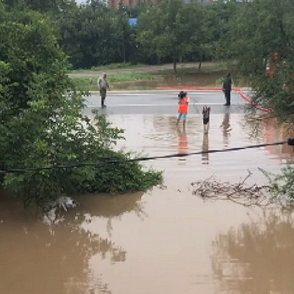 Наш дом затопило, дорога из Анапы ушла под воду»: туристы из Смоленска  рассказали, как переживают потоп - KP.RU