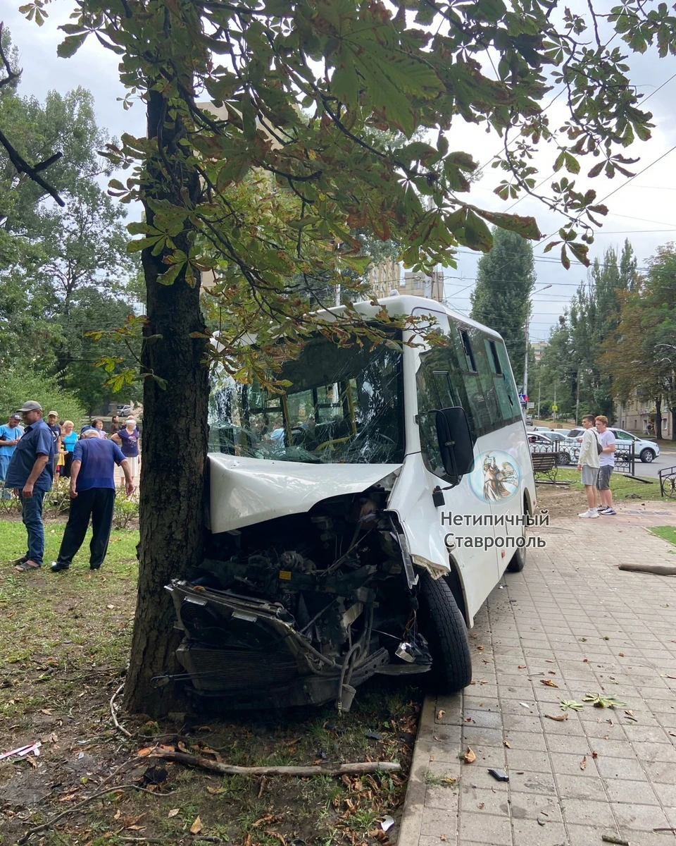 В Ставрополе пассажирская маршрутка попала в ДТП, пострадали 9 человек -  KP.RU