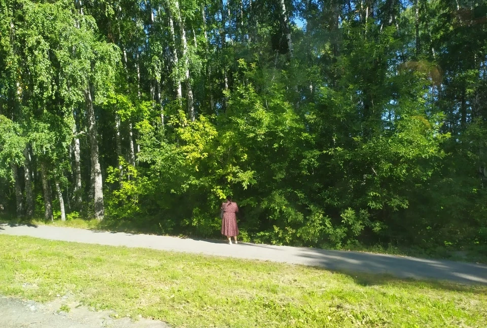 В Тюмени на неделе будет стоять аномальная жара.