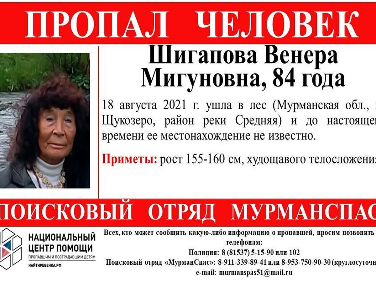 В районе Щукозера пропала 84-летняя женщина - KP.RU