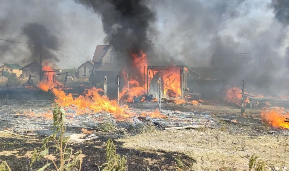 В страшном пожаре пострадали домашние животные