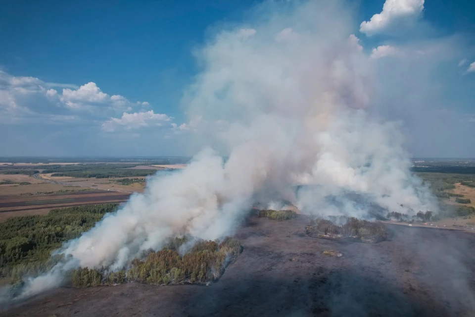 Пожар вплотную приблизился к федеральной трассе Екатеринбург — Шадринск — Курган. Фото: группа «ВКонтакте» «Подслушано Каменск-Уральский»