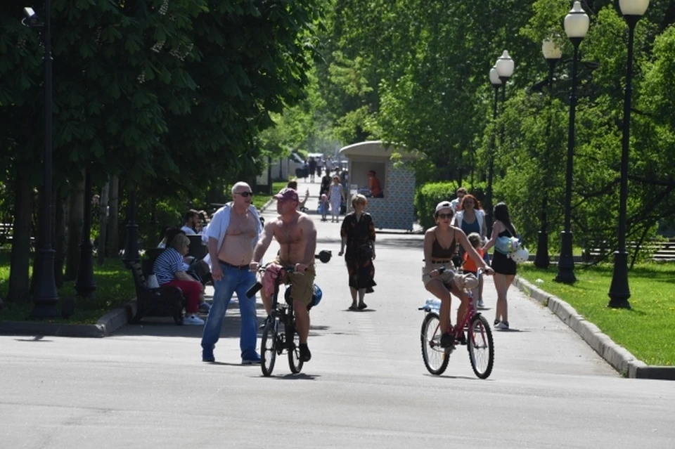 Температура воздуха днем +24…+29°С, местами до +34°С.