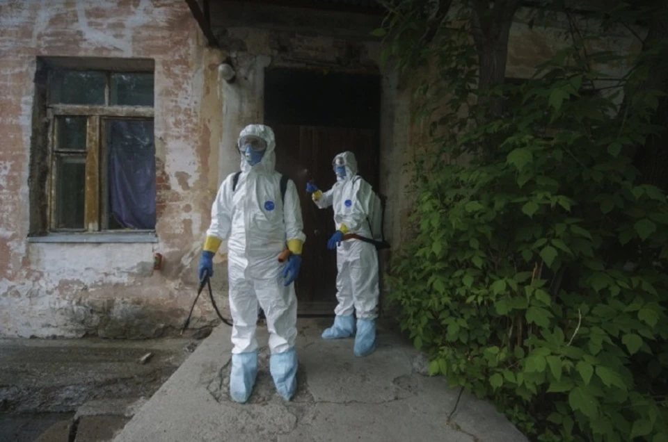 В Свердловской области процент тестирования на коронавирус составляет 400 человек на 100 тысяч населения