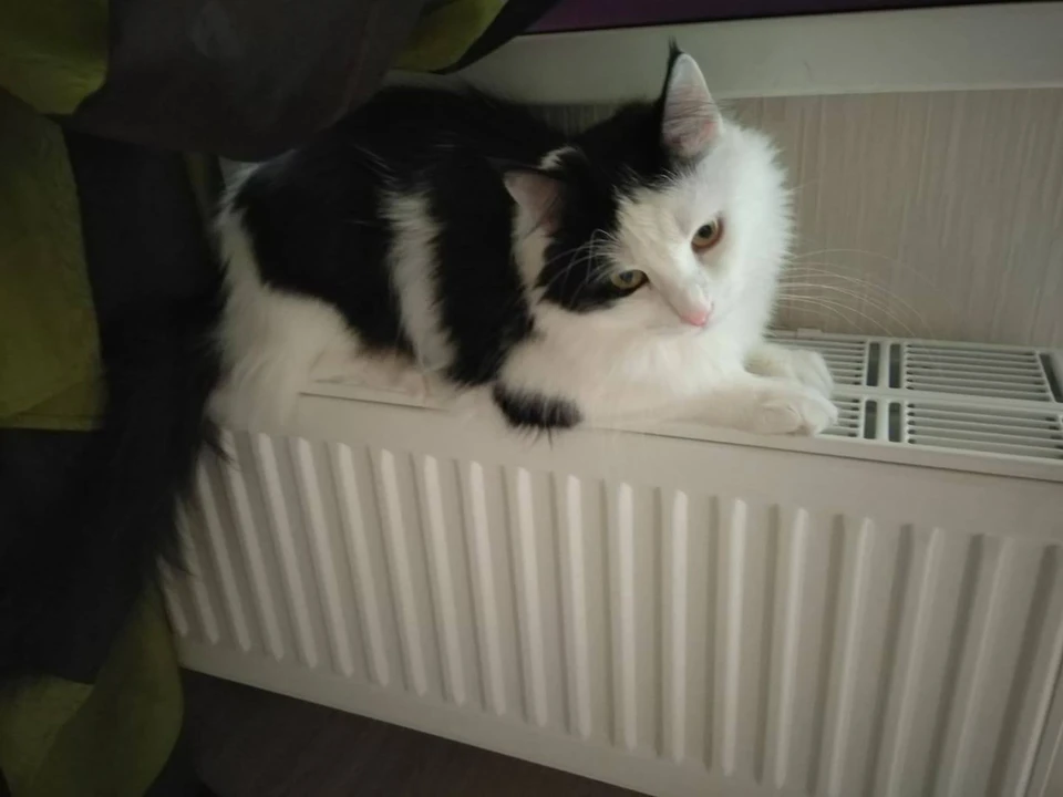 Скоро погреюсь.