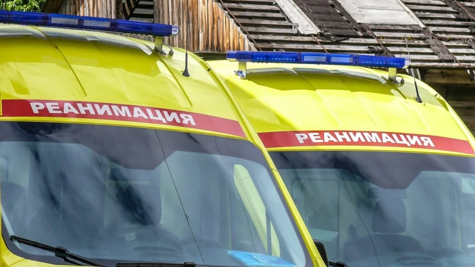 За сутки выздоровели 179 жителей нашего региона.