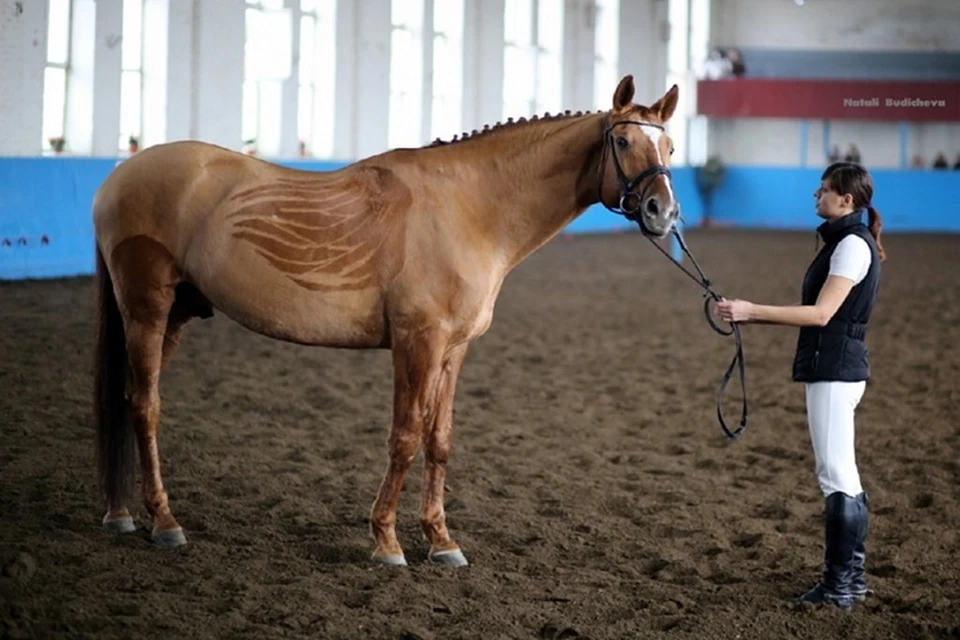 Фото: admkrai.krasnodar.ru