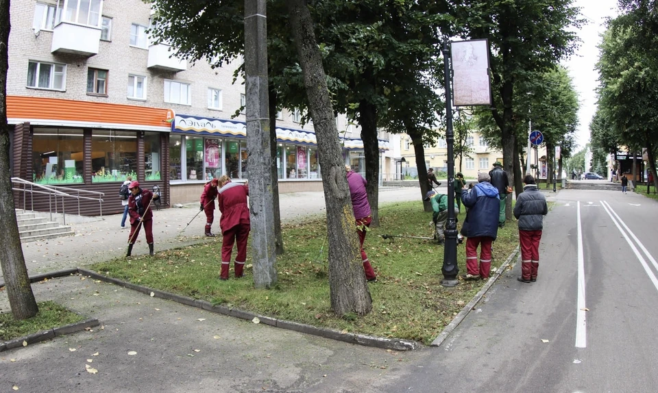 В Смоленске зелёную зону на улице Октябрьской революции приводят в порядок. Фото: пресс-служба администрации города Смоленска.