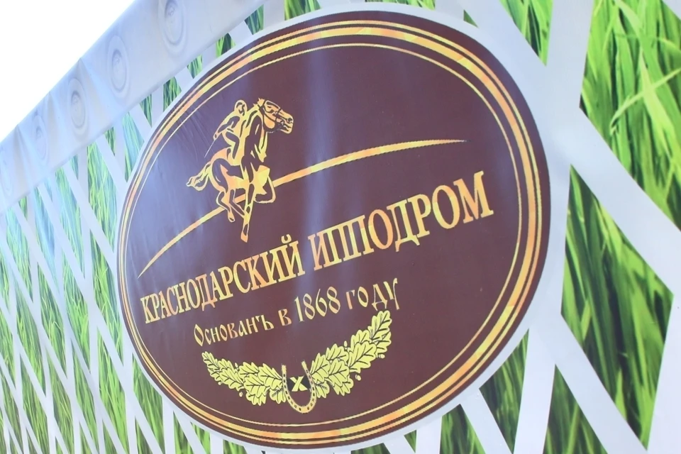 Конноспортивный клуб начинает работу с 6 сентября