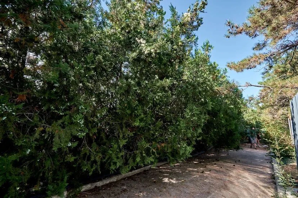 Фото: sev.gov.ru