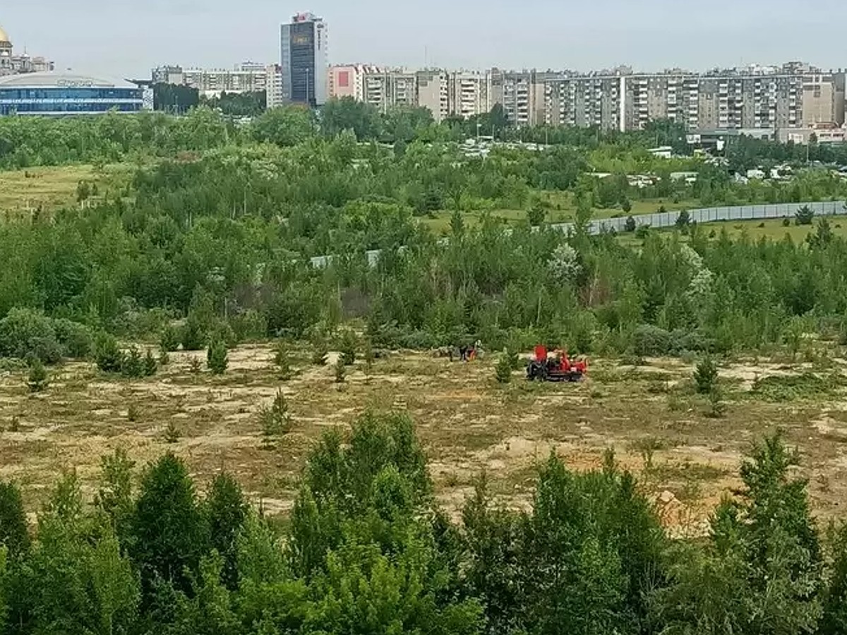 Застройщик, ответственный за аквапарк в Челябинске, закрылся спустя месяц  после начала работ - KP.RU