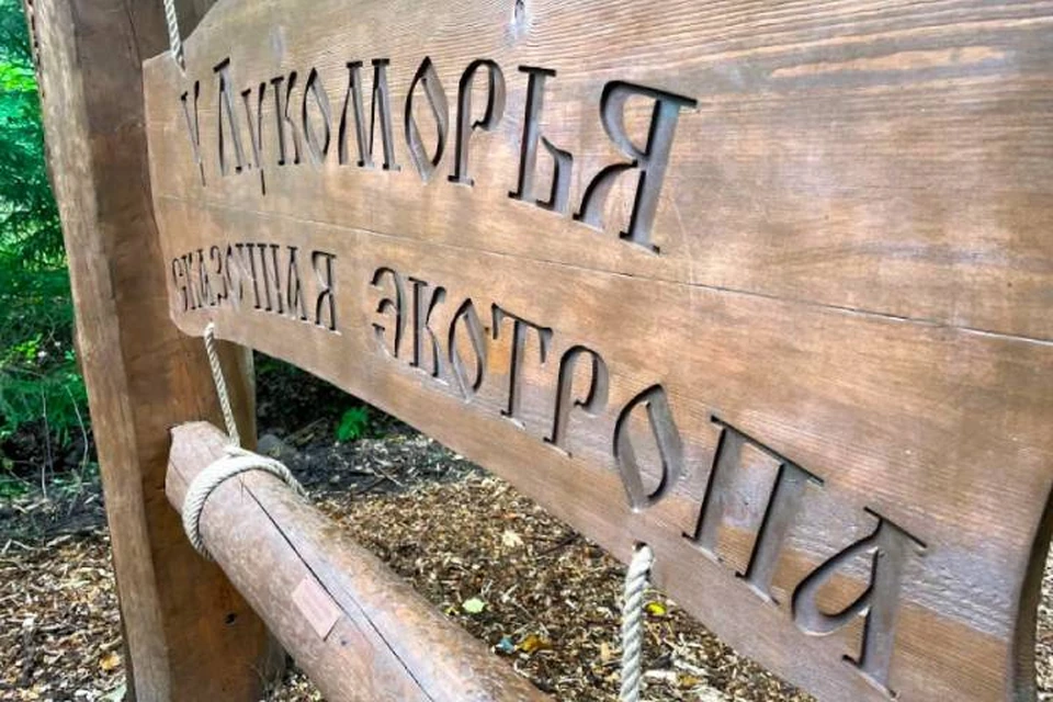 Первый детский экомаршрут открылся в Петербурге / Фото: Смольный