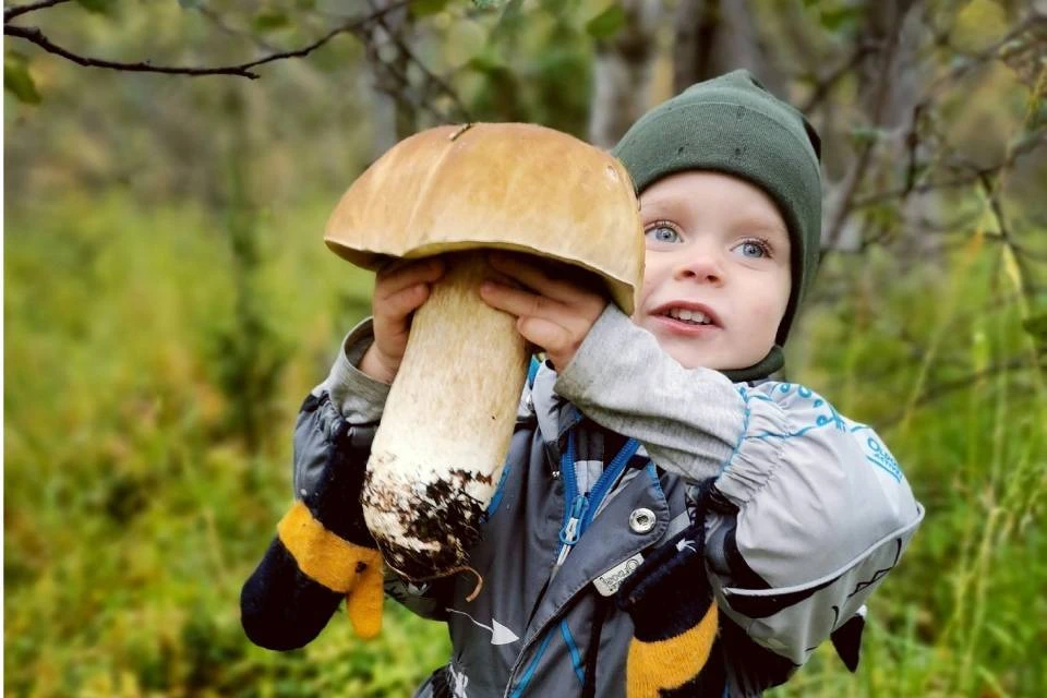 Огромный белый гриб для малыша. Фото: Надежда Новикова
