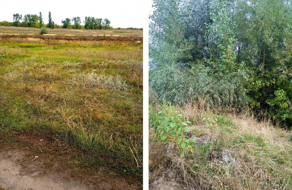 Место, где обнаружили девушку, фото СУ СК России по Воронежской области