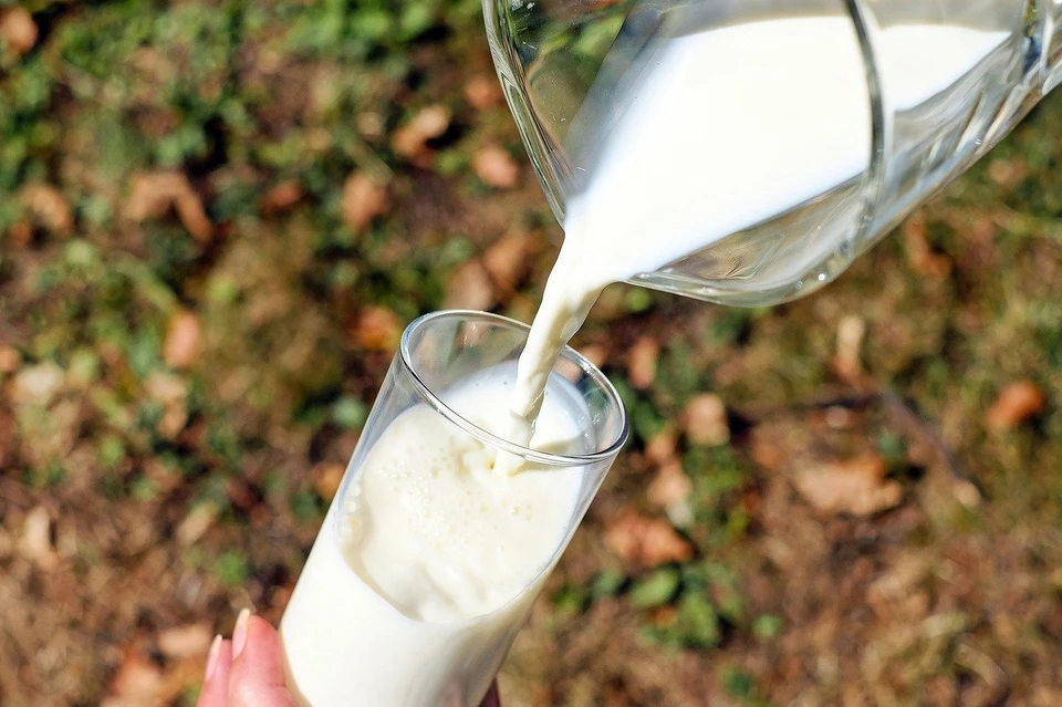 На Ямале планируют расширить производство молока
