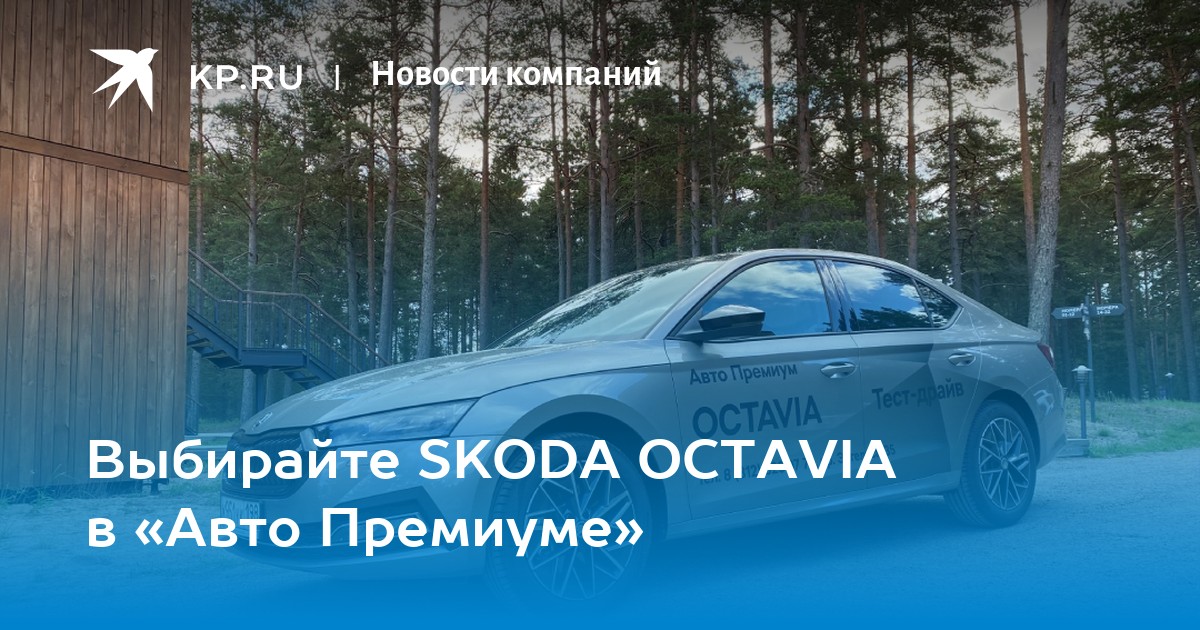 Красноярского гонщика на «Шкоде» задержали в Питере - 14 октября - НГСру