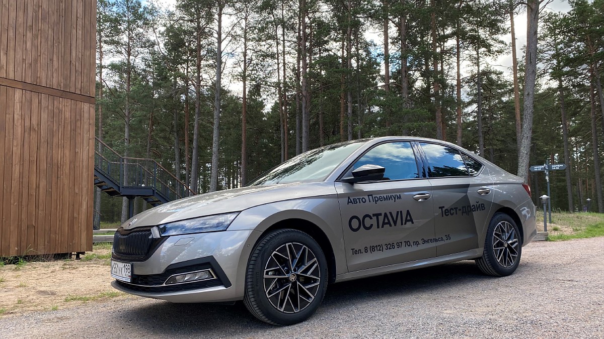 Выбирайте SKODA OCTAVIA в «Авто Премиуме» - KP.RU