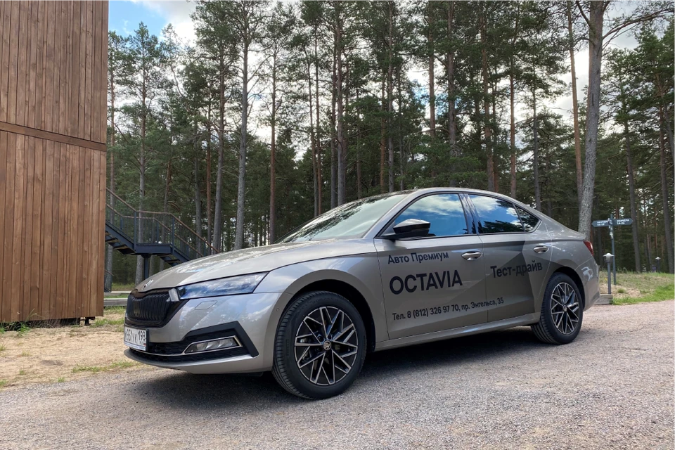 Фото предоставлено пресс-службой «Авто Премиум».