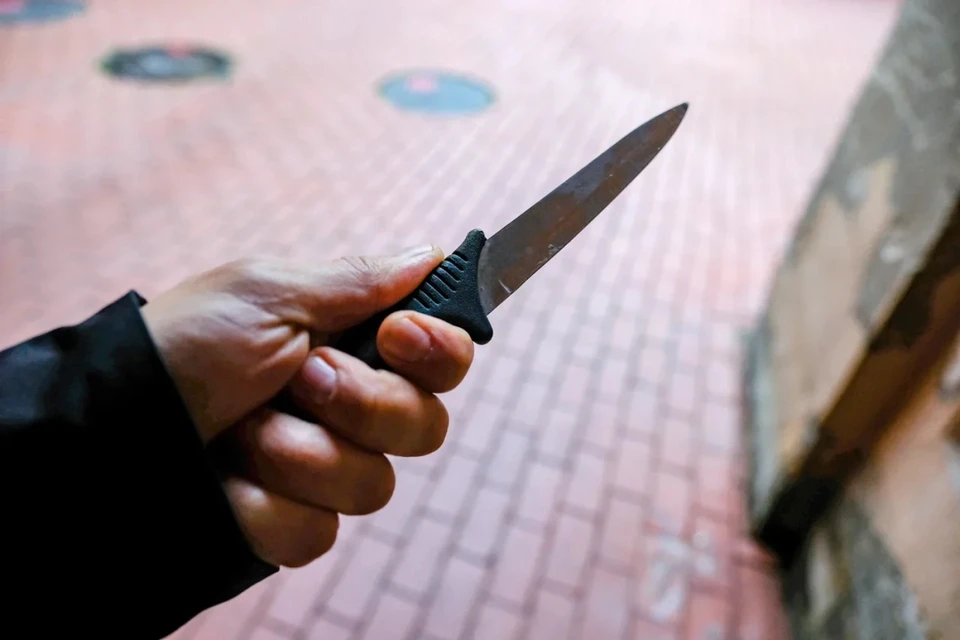 В Петербурге арестовали обвиняемого в убийстве женщины на Торфяной дороге.