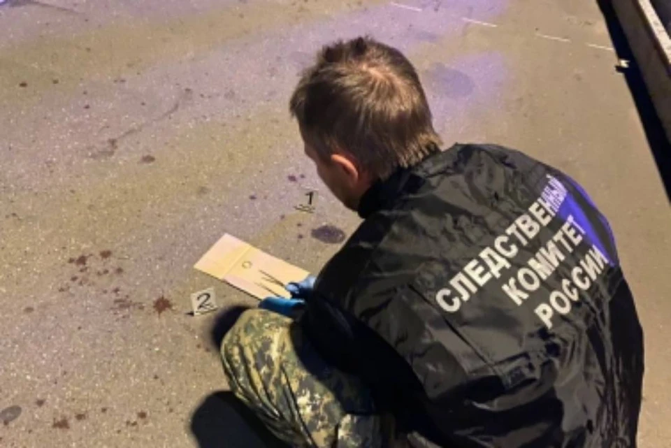 22-летнего сибиряка задержали в Москве по подозрению в зверском убийстве врача-рентгенолога. Фото: ГСУ СК России по Москве