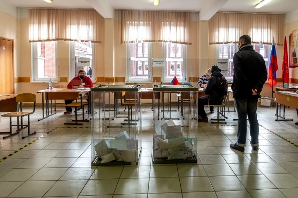 Зарубежные эксперты дали высокую оценку российским выборам депутатов в Госдуму