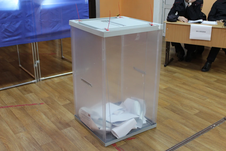 Явка избирателей на выборы в Госдуму в Иркутской области на 15:00 19 сентября составила 29,57%