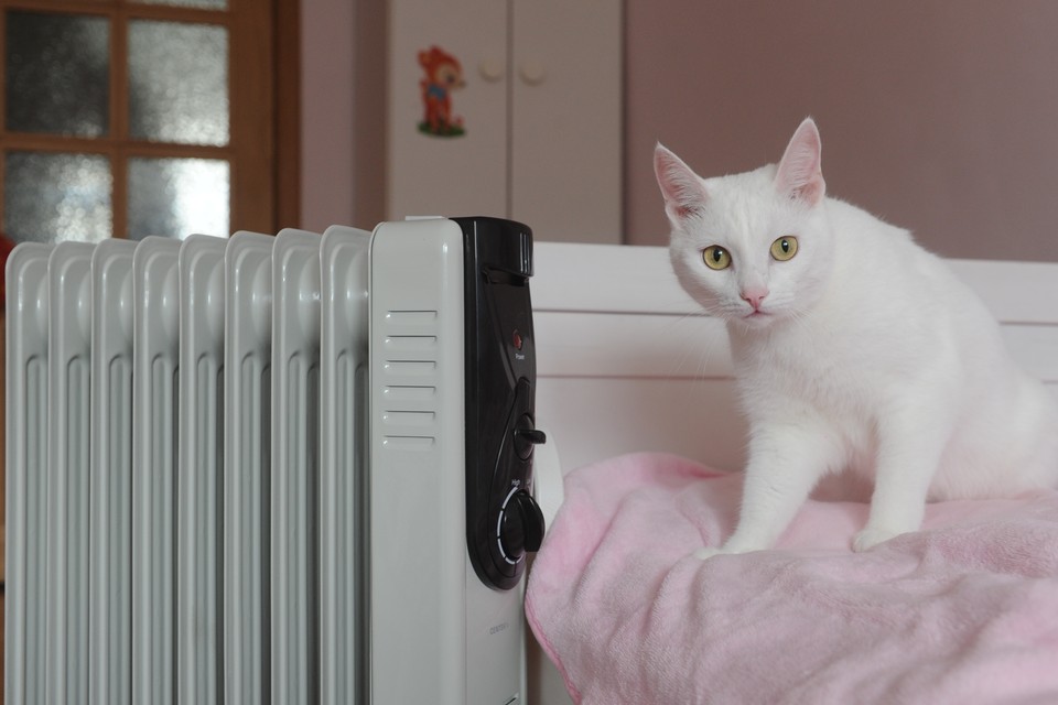 \"Теплосеть\" перешла на регулярное отопление зданий в Петербурге