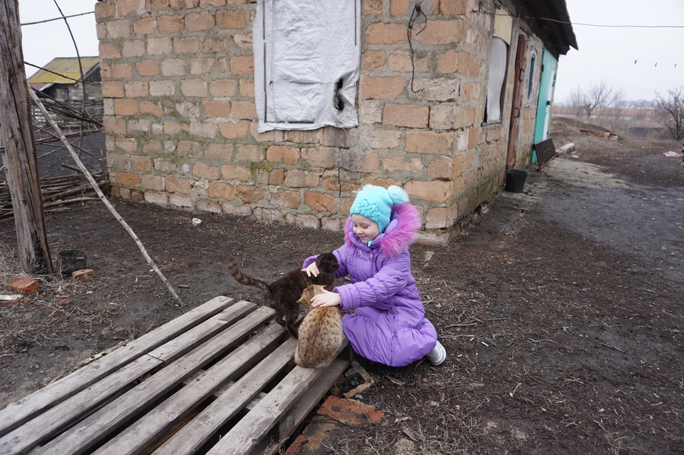 Фото восстановление донбасса