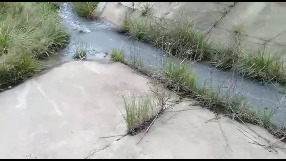 Скриншот с видео калужанки.