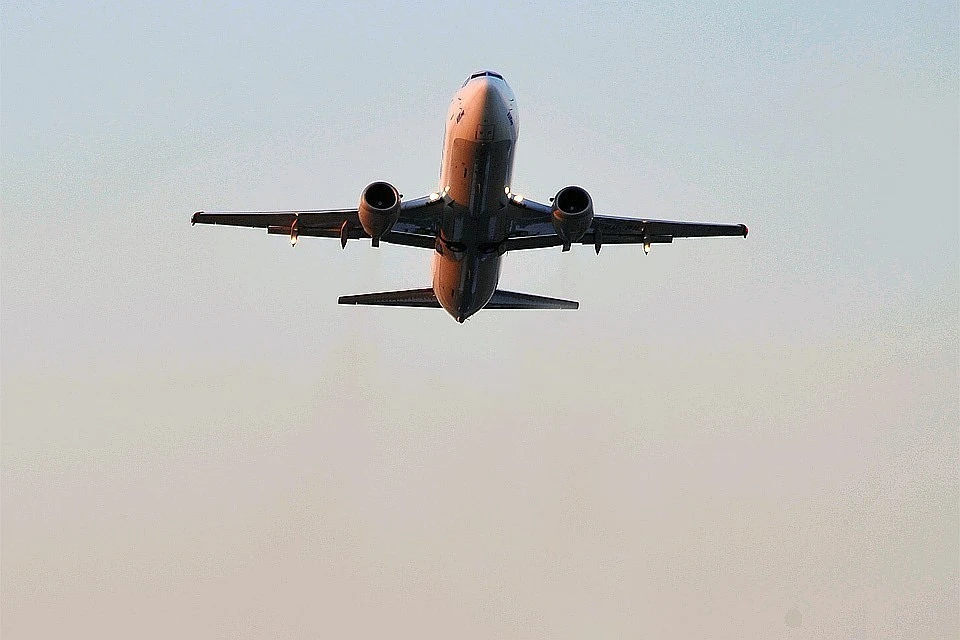 Самолет столкнулся с двумя орлами при взлете в аэропорту Варадеро